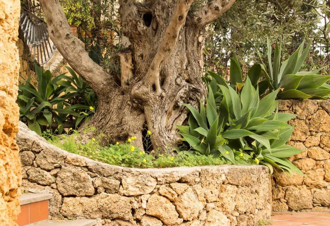 Residenza Terrazze Sul Mare Bed and Breakfast Santa Flavia Εξωτερικό φωτογραφία